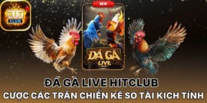 Top các hình thức đá gà live Hitclub được ưa chuộng